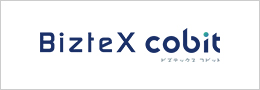BizteX cobit